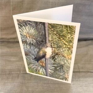 5X7 greeting card made from a photo of a Ruby throated Hummingbird.